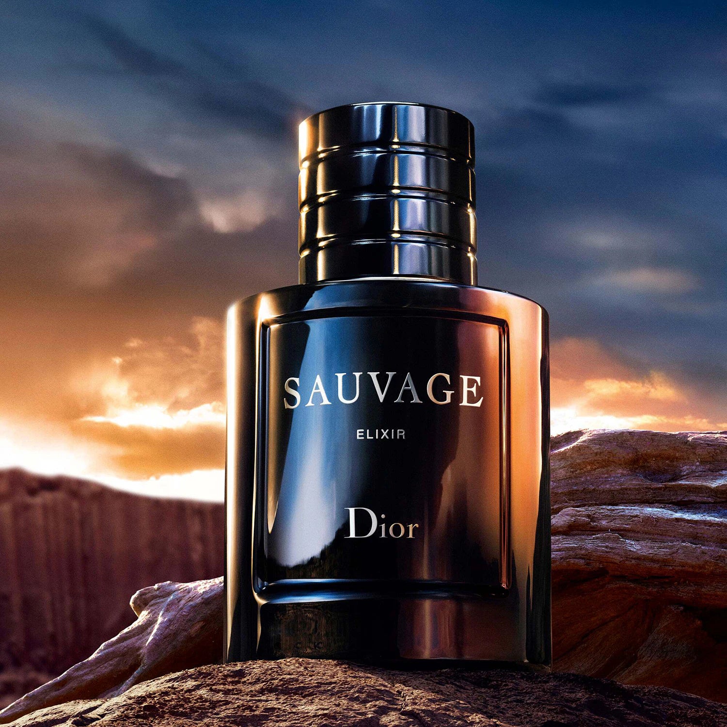Style Sauvage Elixir - Dior